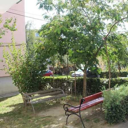 Apartament Anca Apartamento Tîrgu Ocna Exterior foto